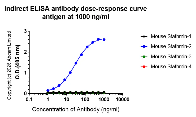 Indirect ELISA - Anti-Stathmin-2/STMN2 antibody [EPR31028-544] - BSA and Azide free (AB328102)