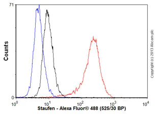 Flow Cytometry (Intracellular) - Anti-Staufen/STAU1 antibody [EPR7966] - BSA and Azide free (AB240107)