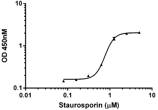 Functional Studies - Staurosporine, Protein kinase inhibitor (AB120056)