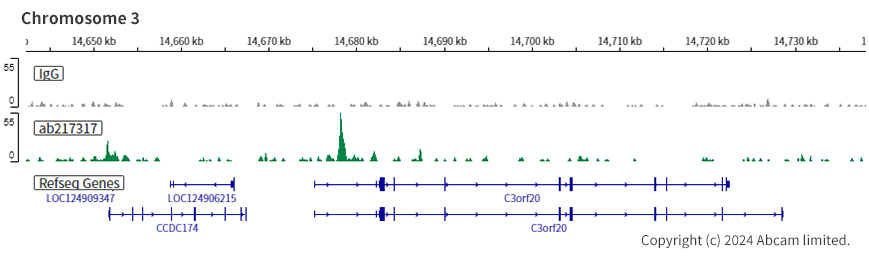 ChIC/CUT&RUN sequencing - Anti-Steroidogenic Factor 1/SF-1 antibody [EPR19744] (ab217317), expandable thumbnail