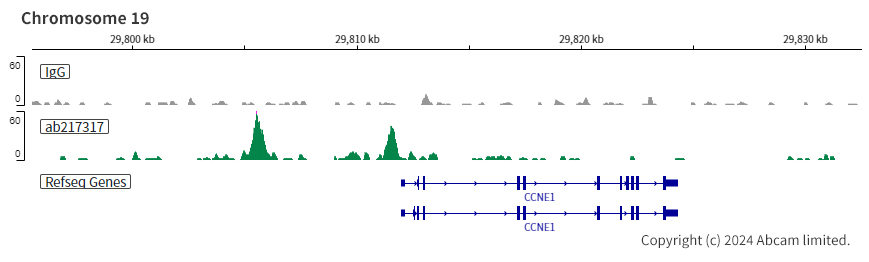 ChIC/CUT&RUN sequencing - Anti-Steroidogenic Factor 1/SF-1 antibody [EPR19744] (AB217317), expandable thumbnail