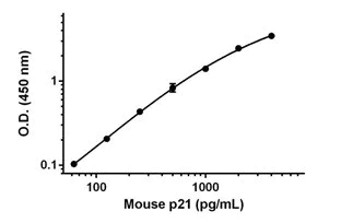 Sandwich ELISA - Anti-STIL/SIL antibody [EPR26955-50] - BSA and Azide free (Detector) (AB307575)
