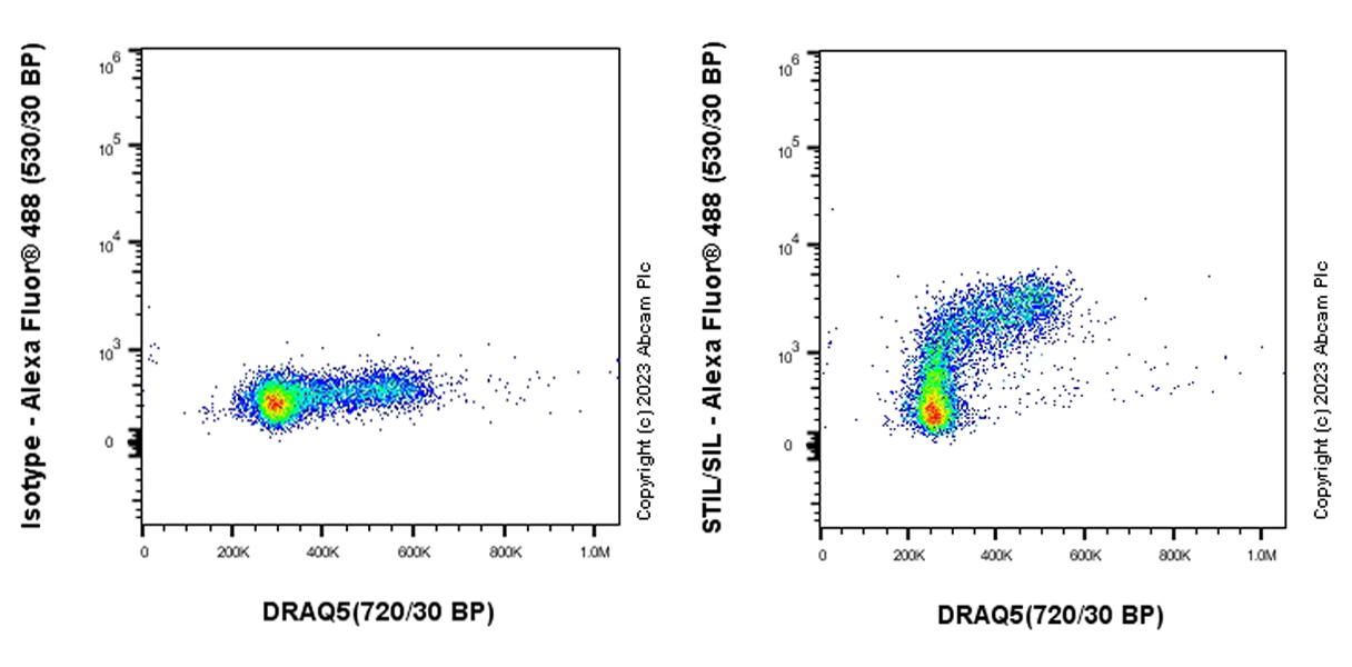 Flow Cytometry (Intracellular) - Anti-STIL/SIL antibody [EPR26955-72] - BSA and Azide free (AB315886)