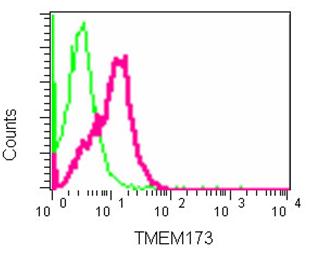 Flow Cytometry (Intracellular) - Anti-STING antibody [EPR13130] (ab181125), expandable thumbnail