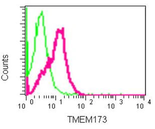 Flow Cytometry (Intracellular) - Anti-STING antibody [EPR13130] (AB181125)