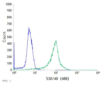 Flow Cytometry (Intracellular) - Anti-STING antibody [SP338] - BSA and Azide free (AB238795)
