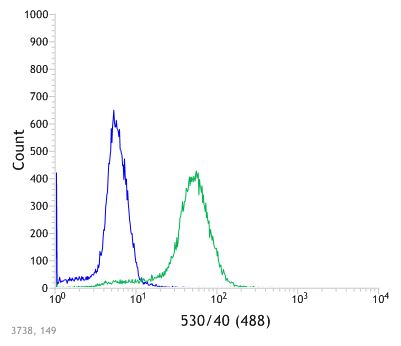 Flow Cytometry (Intracellular) - Anti-STING antibody [SP339] - BSA and Azide free (ab238796), expandable thumbnail