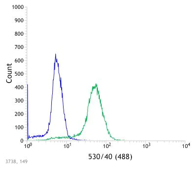Flow Cytometry (Intracellular) - Anti-STING antibody [SP339] - BSA and Azide free (AB238796)