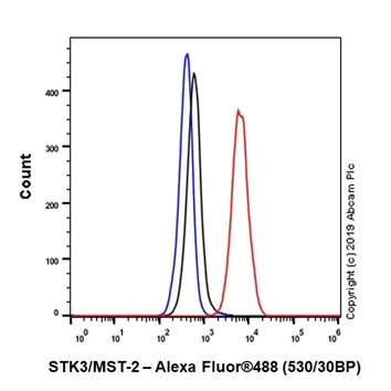 Flow Cytometry (Intracellular) - Anti-STK3/MST-2 antibody [EP1466Y] (AB52641)