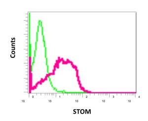 Flow Cytometry (Intracellular) - Anti-Stomatin antibody [EPR10420] (AB169524), expandable thumbnail