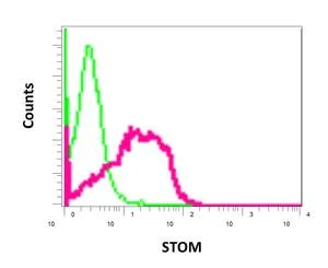 Flow Cytometry (Intracellular) - Anti-Stomatin antibody [EPR10420] - BSA and Azide free (AB249479)