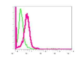 Flow Cytometry (Intracellular) - Anti-Stomatin antibody [EPR10421] - BSA and Azide free (AB249361)