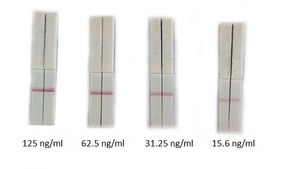 Functional Studies - Streptavidin Antibody Conjugation Check Kit (AB270051)