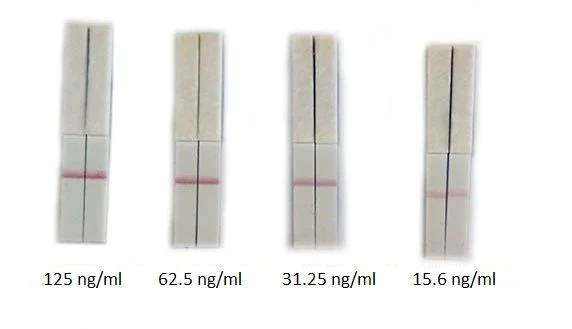 Functional Studies - Streptavidin Antibody Conjugation Check Kit (AB270051)