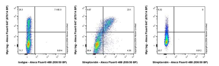 Flow Cytometry (Intracellular) - Anti-Streptavidin antibody [EPR28602-42] - BSA and Azide free (AB319104)