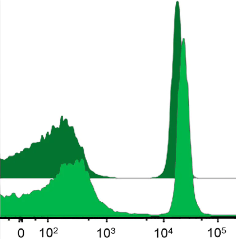 Flow Cytometry - Streptavidin AZDye™ 488 Monovalent Antibody Labeling Kit (AB272187)