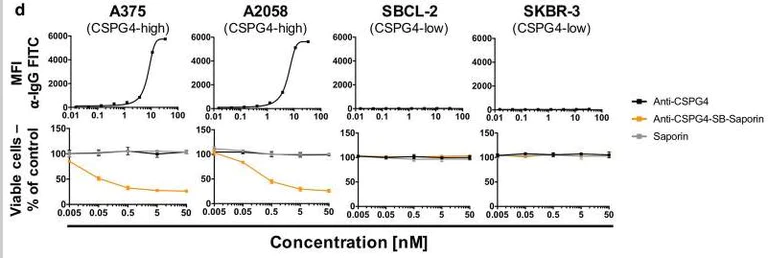 Conjugation - Streptavidin Conjugation Kit - Lightning-Link® (AB102921)
