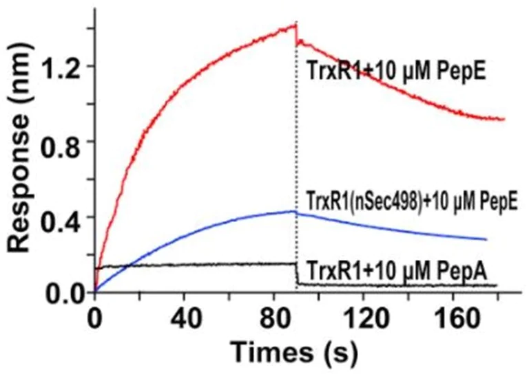 Conjugation - Streptavidin Conjugation Kit - Lightning-Link® (AB102921)