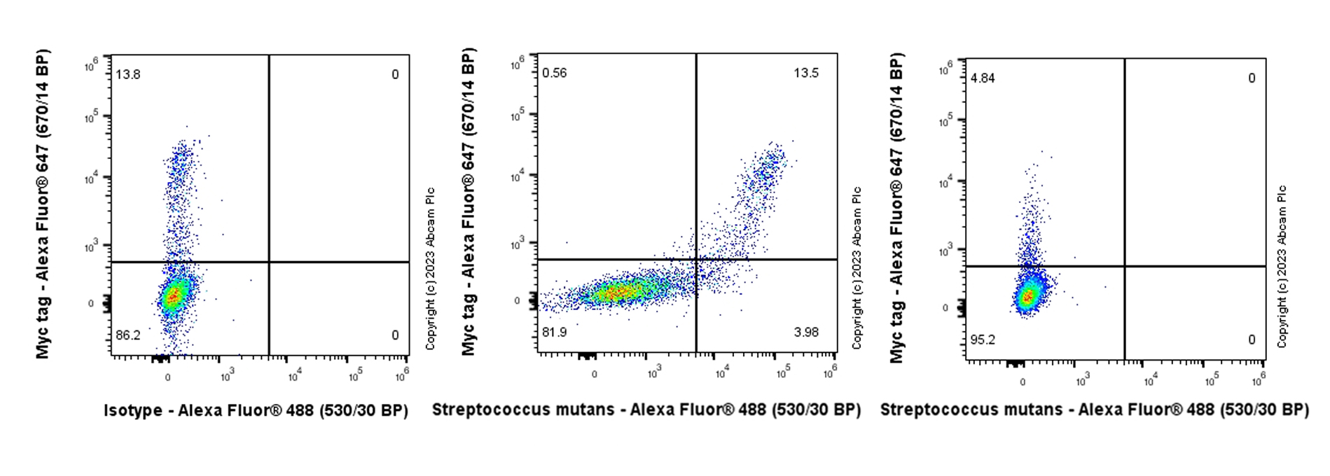 Flow Cytometry (Intracellular) - Anti-Streptococcus mutans Cell surface antigen I/II antibody [EPR28235-11] (ab316006), expandable thumbnail