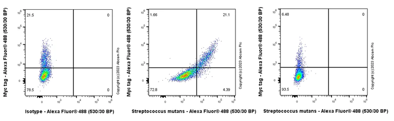 Flow Cytometry (Intracellular) - Anti-Streptococcus mutans Glucan-binding protein antibody [EPR28235-85] - BSA and Azide free (AB315976)