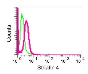 Flow Cytometry (Intracellular) - Anti-Striatin 4 antibody [EPR11801] (AB177155)