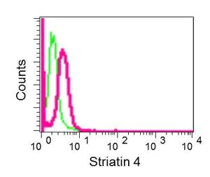 Flow Cytometry (Intracellular) - Anti-Striatin 4 antibody [EPR11801] - BSA and Azide free (AB249940)
