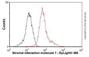 Flow Cytometry - Anti-Stromal interaction molecule 1 antibody [5A2] (AB57834)