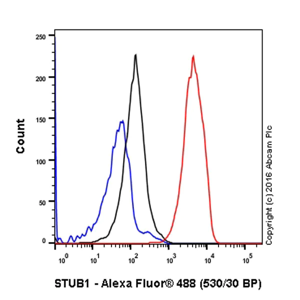 Flow Cytometry (Intracellular) - Anti-STUB1/CHIP antibody [EPR4447] - BSA and Azide free (AB238966)