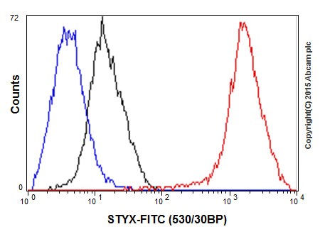 Flow Cytometry (Intracellular) - Anti-STYX antibody [EPR16314] (ab205200), expandable thumbnail