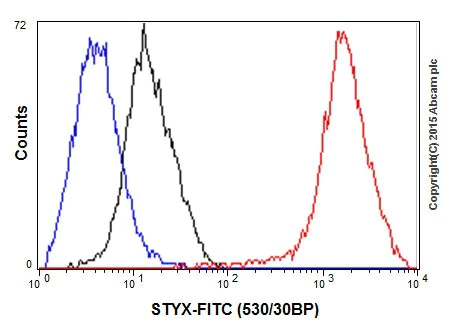 Flow Cytometry (Intracellular) - Anti-STYX antibody [EPR16314] (AB205200)