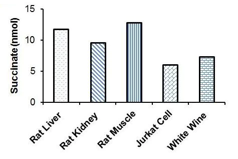 Functional Studies - Succinate Assay Kit (Colorimetric) (AB204718)