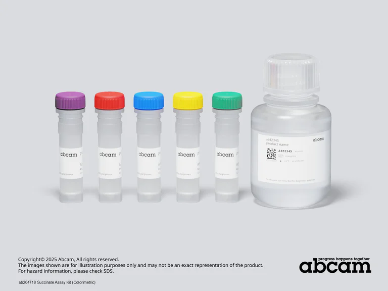Schematic Diagram - Succinate Assay Kit (Colorimetric) (AB204718)