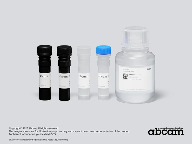 Other - Succinate Dehydrogenase Activity Assay Kit (Colorimetric) (AB228560)