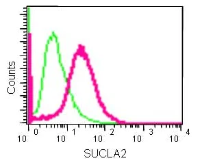 Flow Cytometry (Intracellular) - Anti-SUCLA2 antibody [EPR14925] - BSA and Azide free (AB250666)