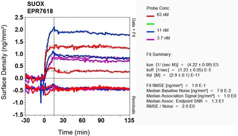OI-RD Scanning - Anti-Sulfite oxidase antibody [EPR7618] - BSA and Azide free (AB248296)