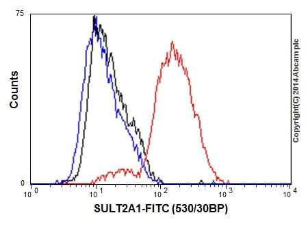 Flow Cytometry (Intracellular) - Anti-SULT2A1/ST2 antibody [EPR16096] (AB194113)