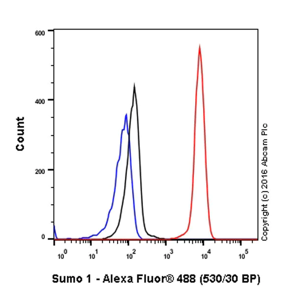 Flow Cytometry (Intracellular) - Anti-Sumo 1 antibody [Y299] - BSA and Azide free (AB219724)