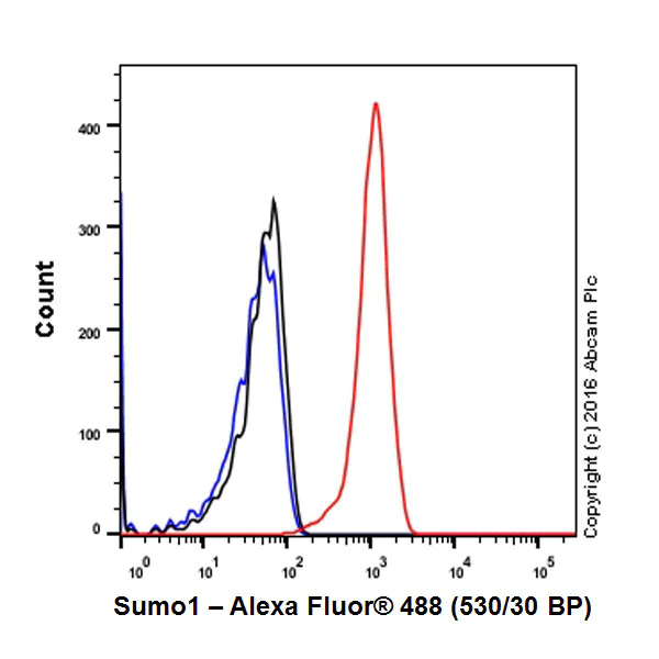 Flow Cytometry (Intracellular) - Anti-Sumo 1 antibody [Y299] - BSA and Azide free (AB219724)