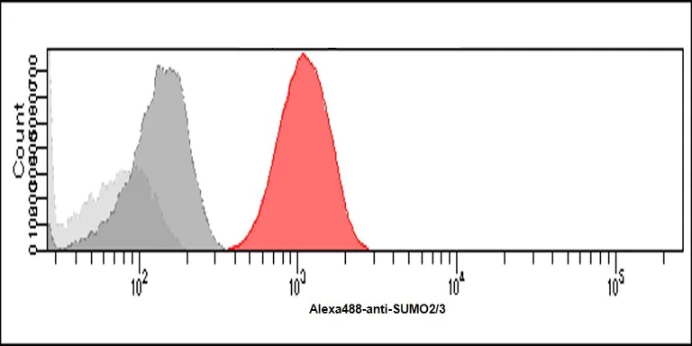 Flow Cytometry - Anti-Sumo 2 + Sumo 3 antibody [AT10F1] (AB282157)