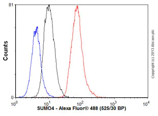 Flow Cytometry (Intracellular) - Anti-Sumo 2 + Sumo 3 + Sumo 4 antibody [EPR7163] - BSA and Azide free (AB232032)