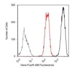 Flow Cytometry - Anti-Sumo 3 antibody [1H9L17] (AB203570)