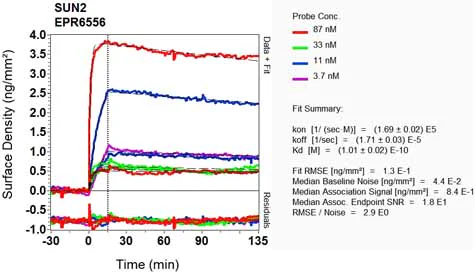 OI-RD Scanning - Anti-SUN2 antibody [EPR6556] - BSA and Azide free (AB248569)