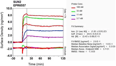 OI-RD Scanning - Anti-SUN2 antibody [EPR6557] (AB124916)