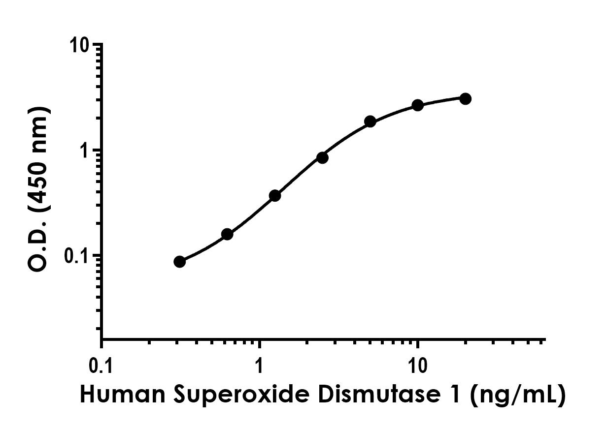 Sandwich ELISA - Anti-Superoxide Dismutase 1 antibody [EPR20577-5] - BSA and Azide free (Detector) (AB285139)