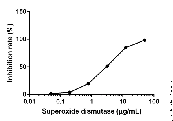 Functional Studies - Superoxide Dismutase Activity Assay Kit (Colorimetric) (AB65354)