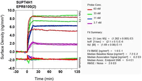 OI-RD Scanning - Anti-SUPT4H antibody [EPR6100(2)] (AB129187)