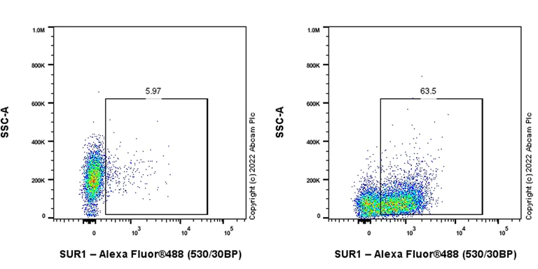 Flow Cytometry (Intracellular) - Anti-SUR1 antibody [EPR25761-44] - BSA and Azide free (AB302612)