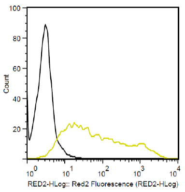 Flow Cytometry - SureLight® APC Anti-T7 tag® antibody (AB72565)