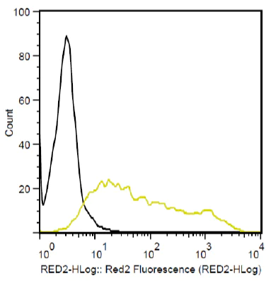 Flow Cytometry - SureLight® APC Anti-T7 tag® antibody (AB72565)