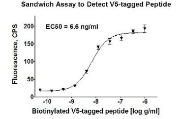 Sandwich ELISA - SureLight® APC Anti-V5 tag antibody (AB72560)